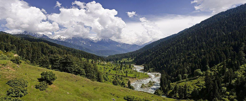 Kashmir Tour Packages, Book Tour Package to Kashmir, 4 Days Tour in Kashmir